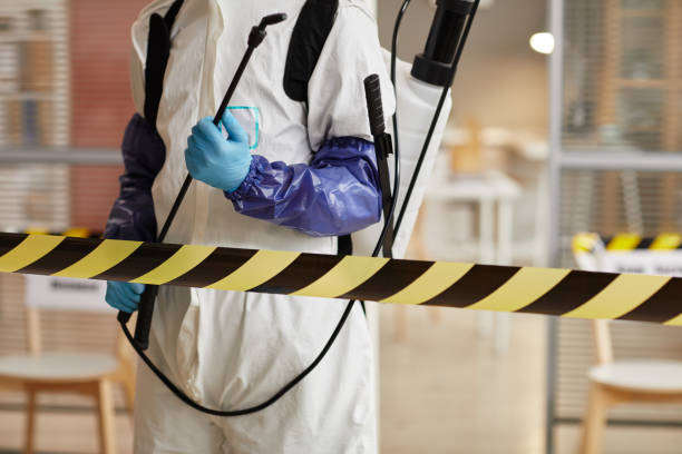 Professional Biohazard technician working in Smith, NV